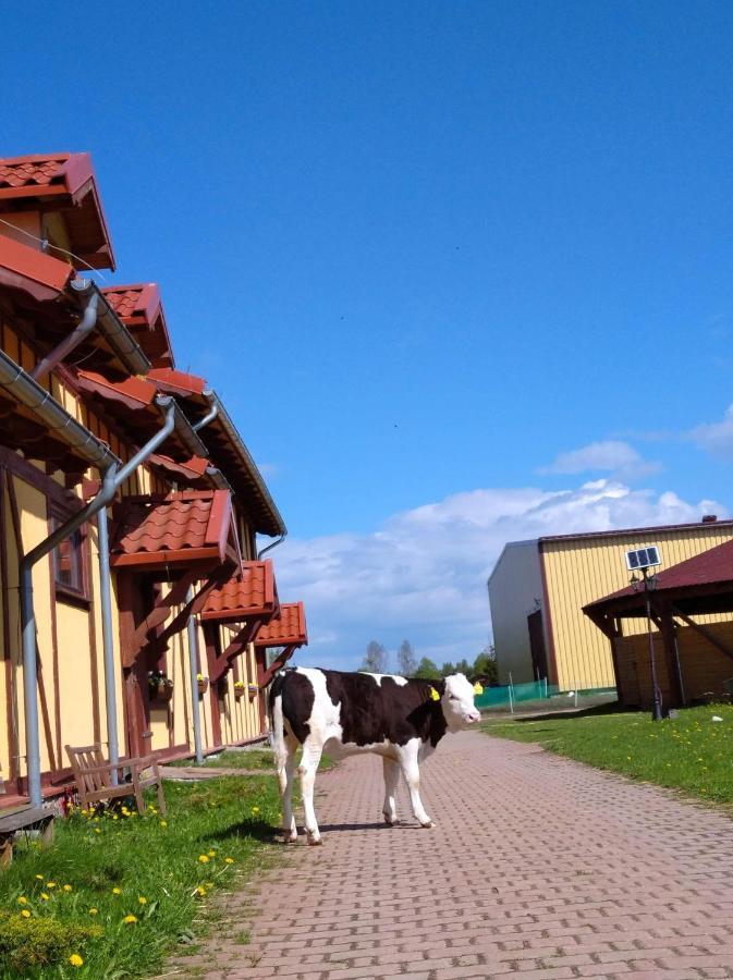 Pensjonat Przy Stajni Kierzkowo  Esterno foto