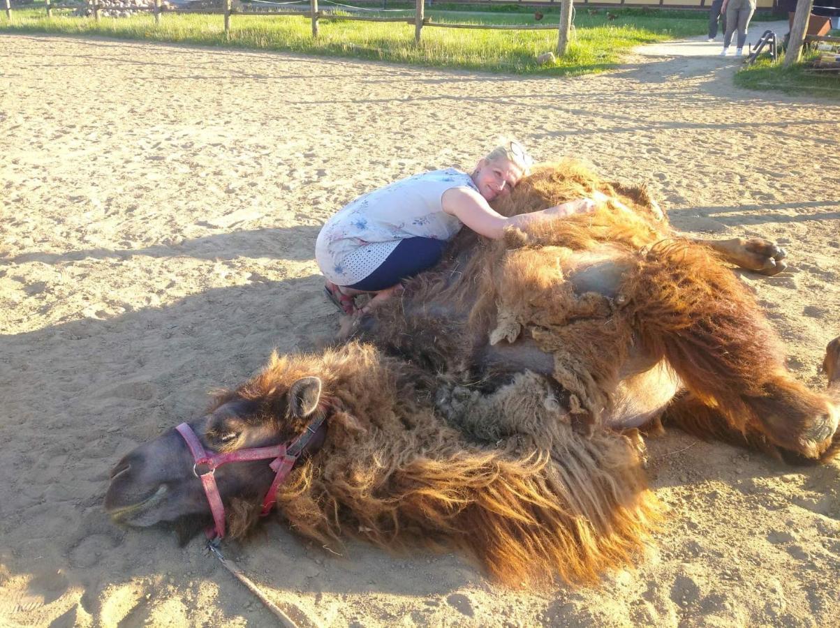 Pensjonat Przy Stajni Kierzkowo  Esterno foto