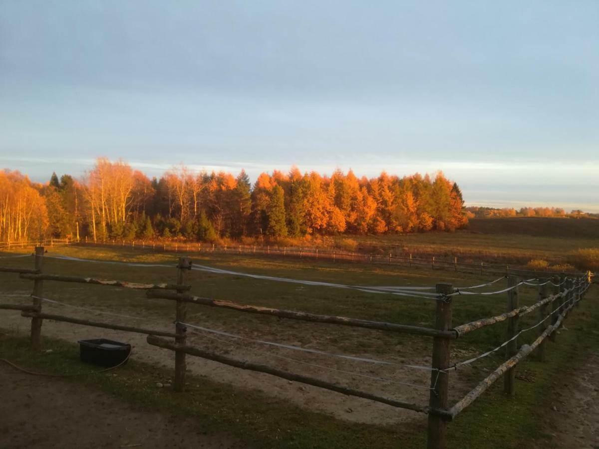Pensjonat Przy Stajni Kierzkowo  Esterno foto